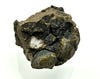 Siderit-Septarie, Arpke, Niedersachsen, Deutschland