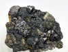 Sphalerite on Galena, Herja, Maramures, Romania