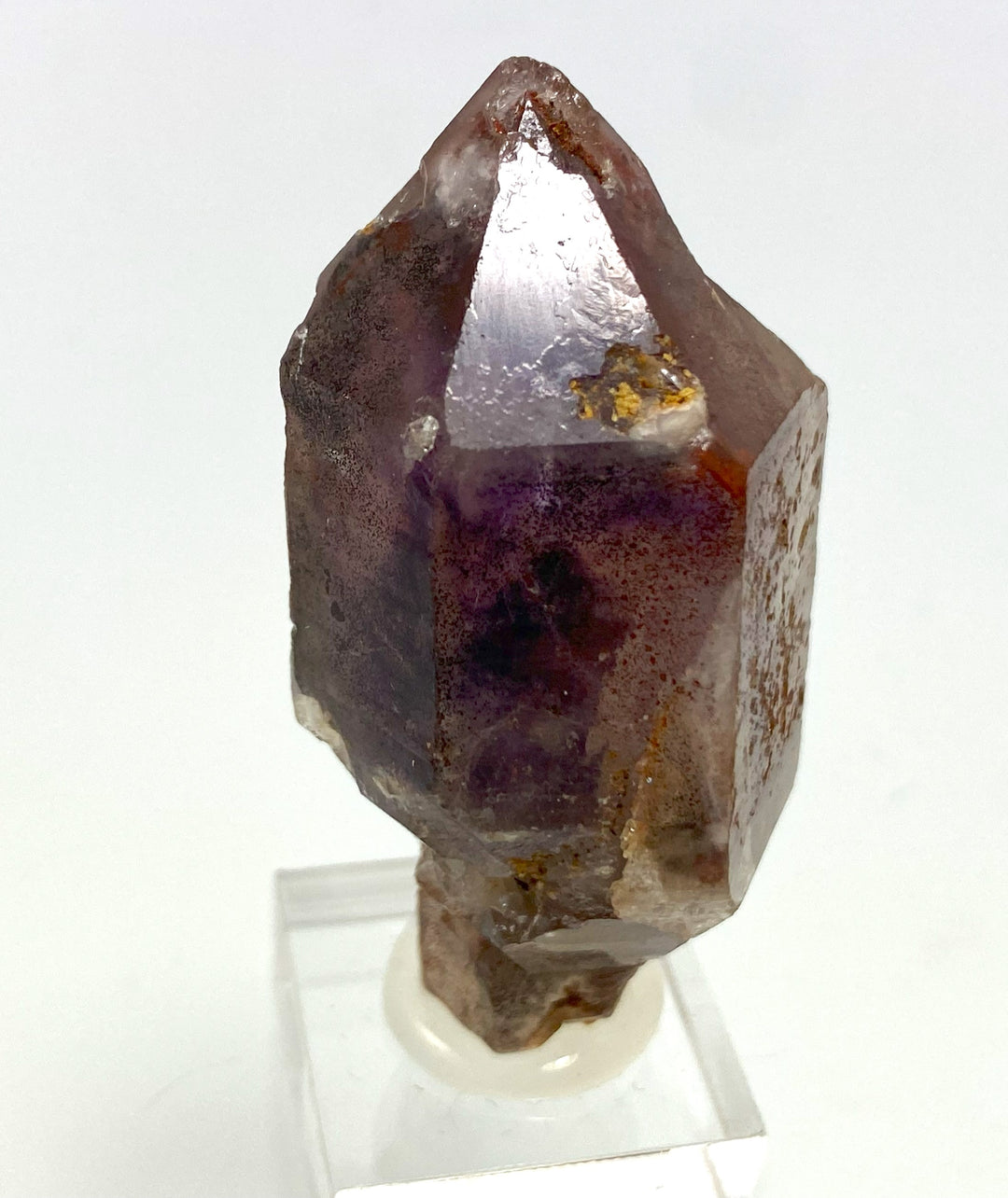 Zepter-Amethyst, Goboboseb Gebirge, Brandberg, Namibia