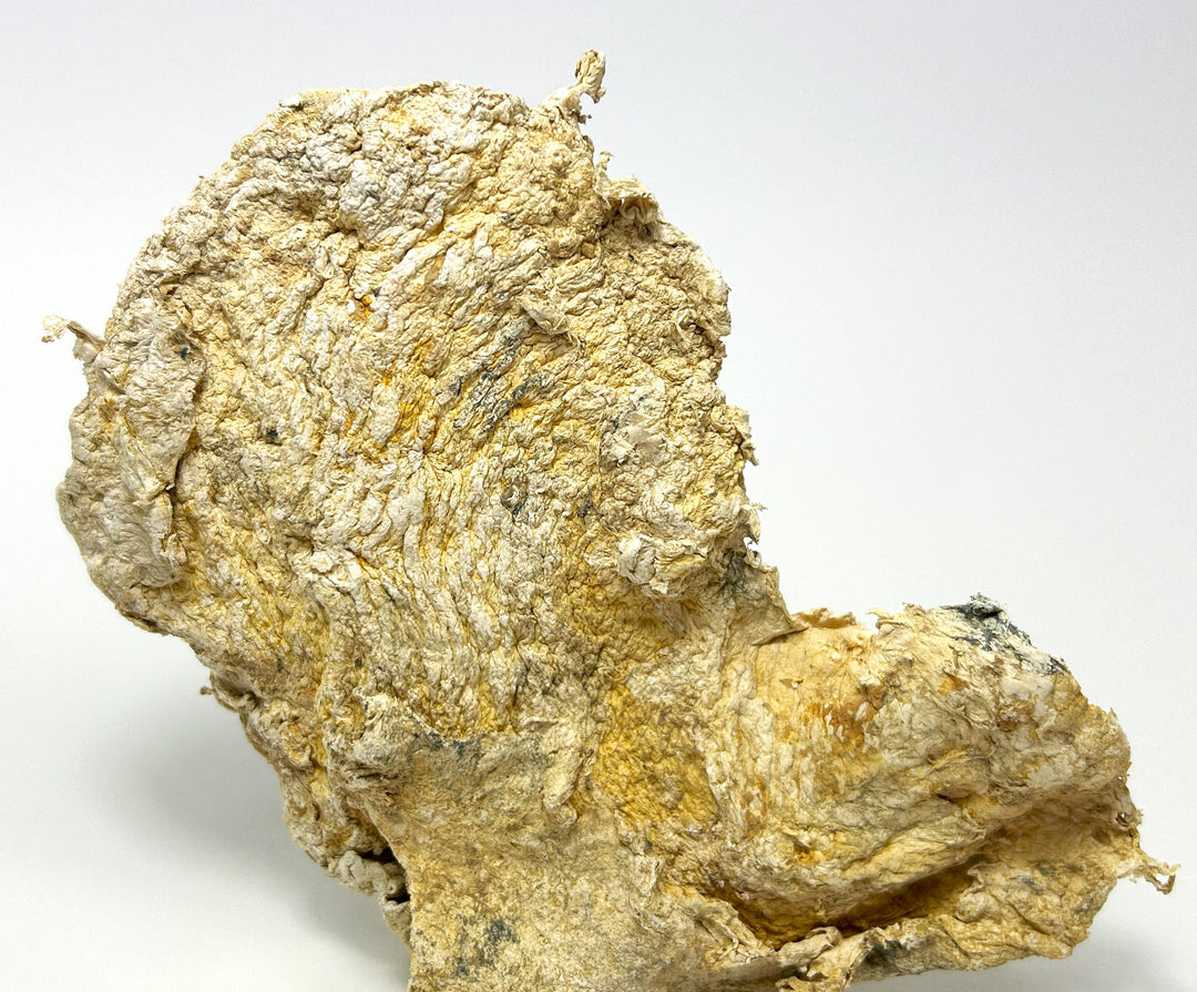 Bergleder (Var.: Aktinolith, Palygorskit), Sunk, Hohentauern, Steiermark, Österreich