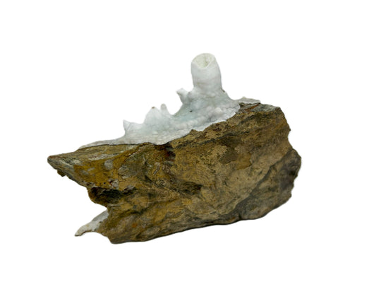 Hellblauer Aragonite, Flatschach, Murtal, Stmk., Austria