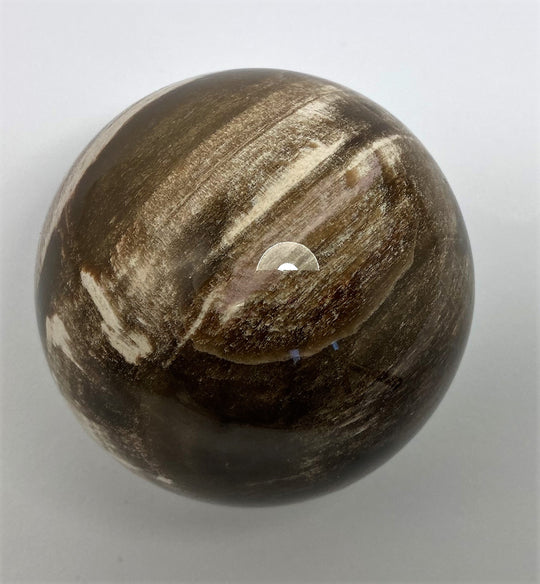 Steinkugel Fossiles Holz 
