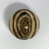 Steinkugel Aactaeonella