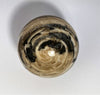 Steinkugel Aactaeonella