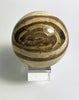 Steinkugel Aactaeonella