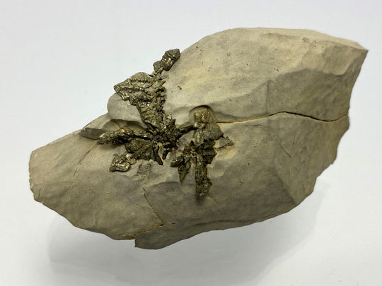 Markasit, Flamboro Quarry, West Flamborough Township, Hamilton, Ontario, Canada