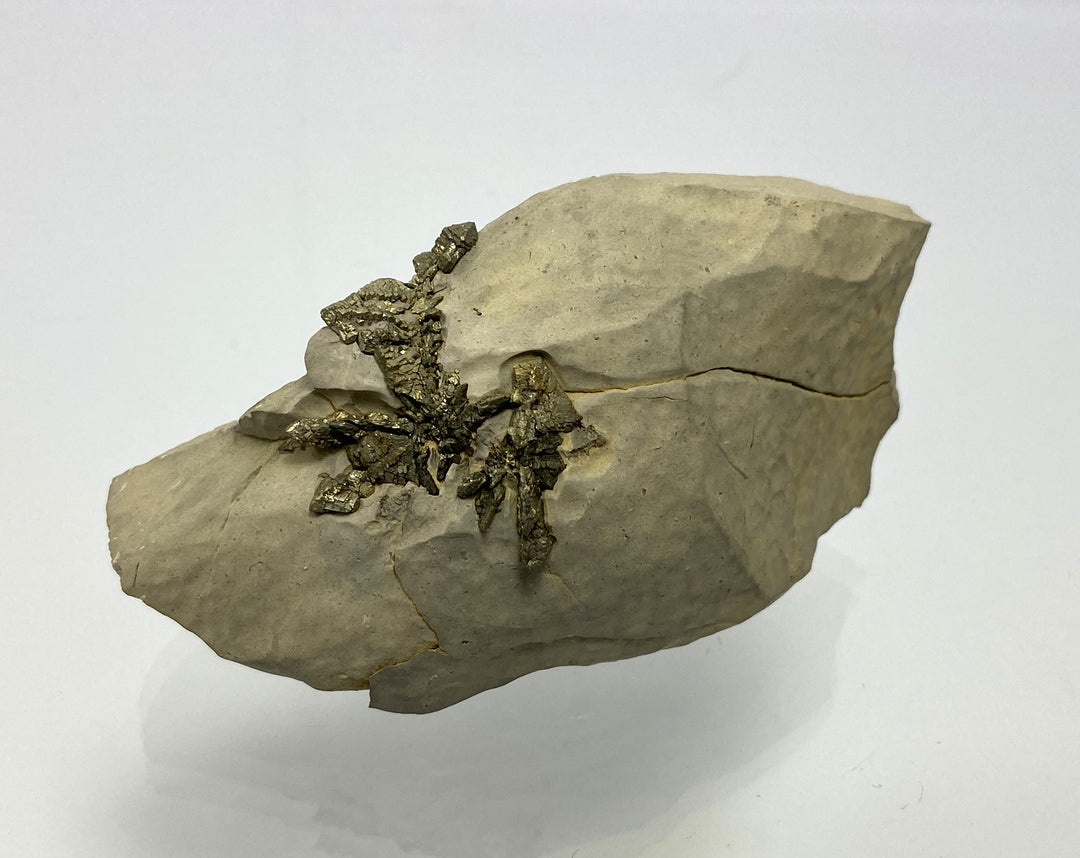 Markasit, Flamboro Quarry, West Flamborough Township, Hamilton, Ontario, Canada