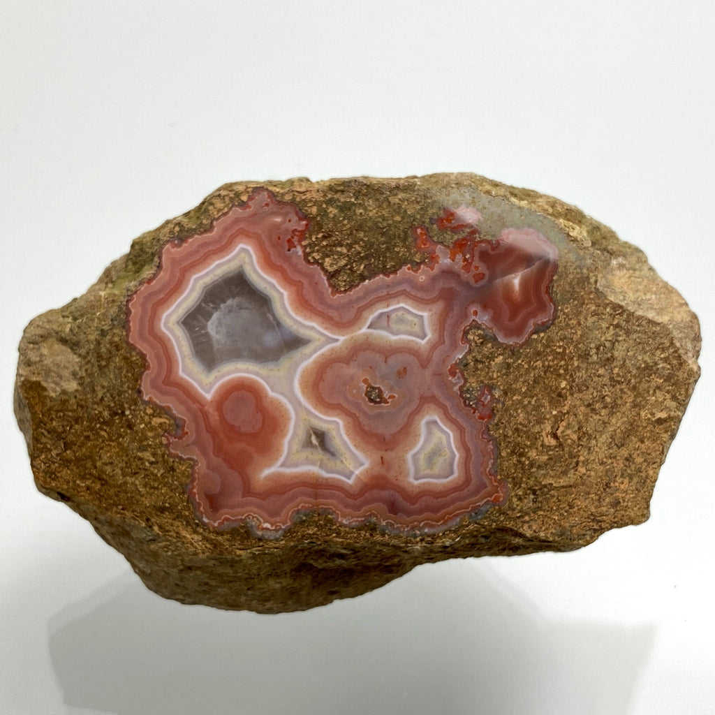 Achat, Bou Lili, Aouli,  Marokko